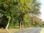 Aan de Almeloseweg